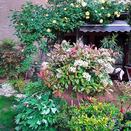 La Rosa Gialla Bed & Breakfast Maranello