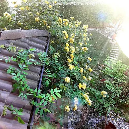 Bed & Breakfast La Rosa Gialla Maranello