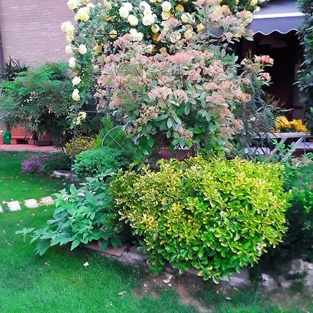 La Rosa Gialla