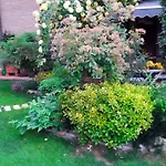 La Rosa Gialla