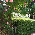 La Rosa Gialla Couette-café