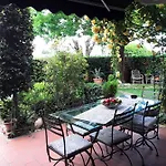 La Rosa Gialla