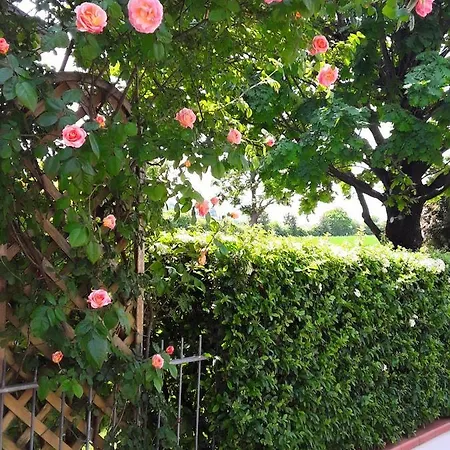 La Rosa Gialla ベッド・アンド・ブレックファスト