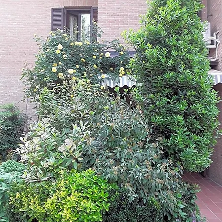 La Rosa Gialla فندق مبيت وإفطار 4*