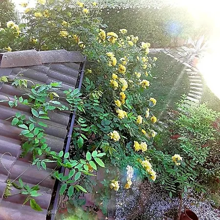 La Rosa Gialla فندق مبيت وإفطار 4*
