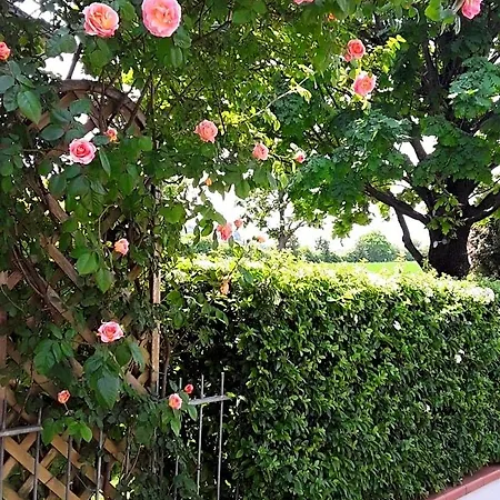 La Rosa Gialla فندق مبيت وإفطار مارانيلّو