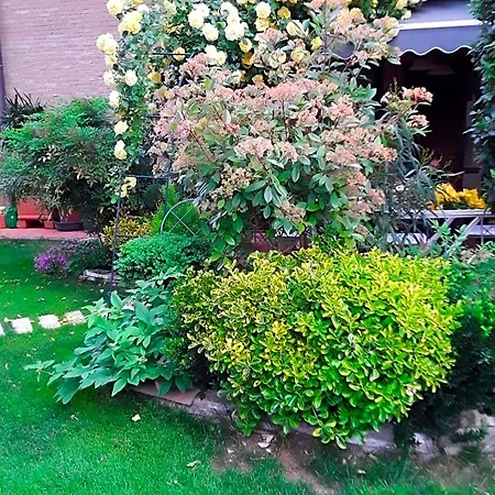 فندق مبيت وإفطار La Rosa Gialla 4*