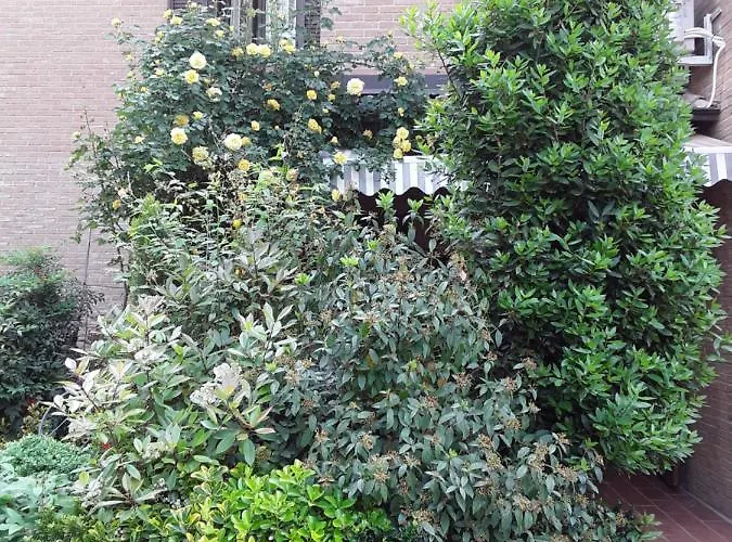 La Rosa Gialla Bed and Breakfast