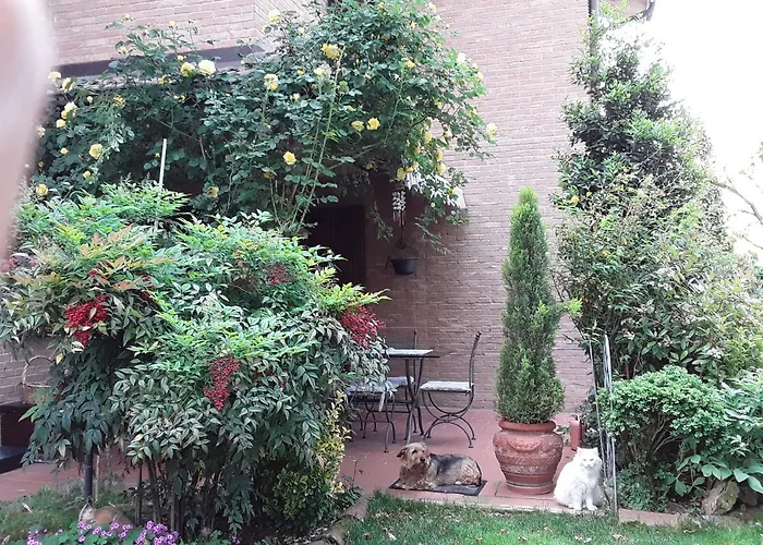 La Rosa Gialla B&B 마라넬로