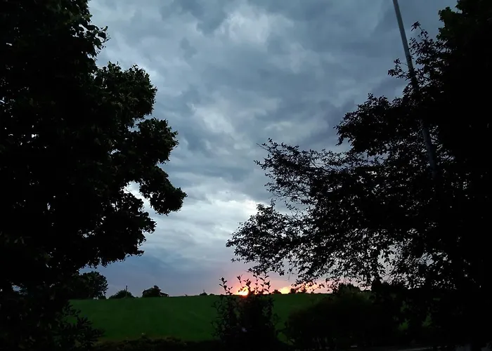 La Rosa Gialla 4* Μαρανέλλο