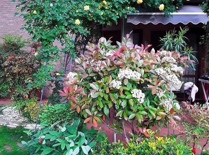 La Rosa Gialla B&B 마라넬로