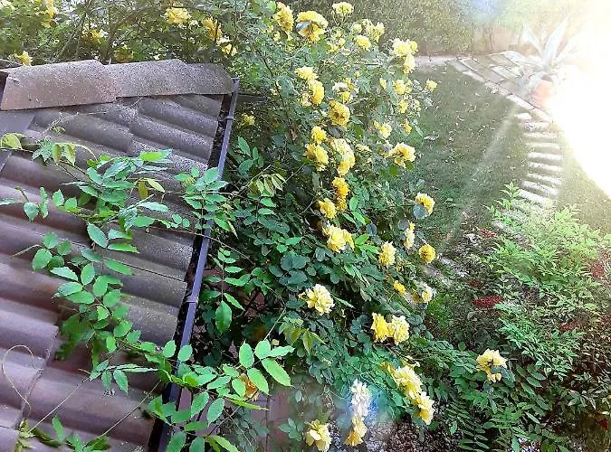 Bed and Breakfast La Rosa Gialla Μαρανέλλο