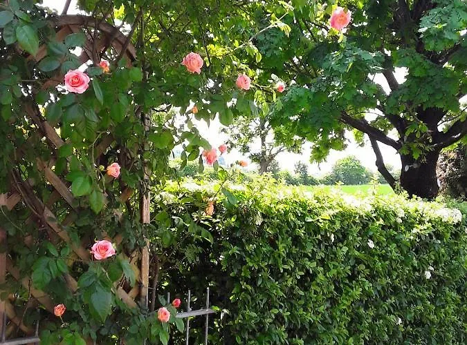 La Rosa Gialla Bed and Breakfast